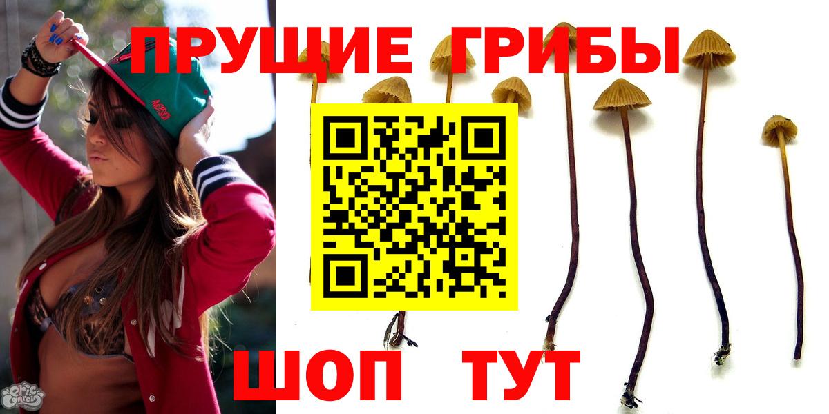 Галлюциногенные грибы Psilocybe  Вход с VPN  Галлюциногенные грибы Cubensis  Верхний Уфалей 